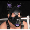 The Red PUPPY SET OREILLES ET LANGUE EN CUIR VIOLET